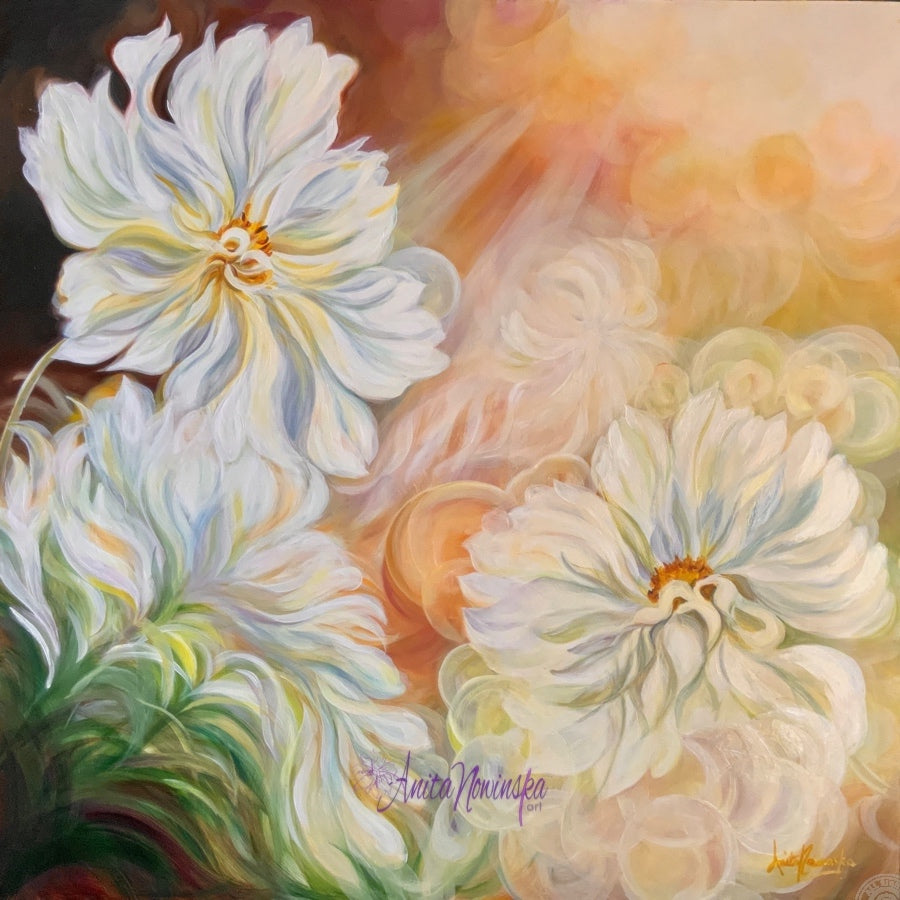Sun lit white cosmos big flower painting by anita nowinska with dappled sunlight bokeh in bedroom interior decor