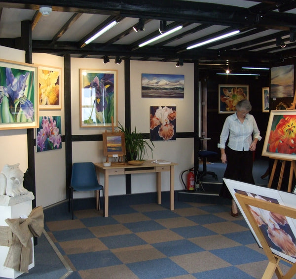 SHOWS & EXHIBITIONS