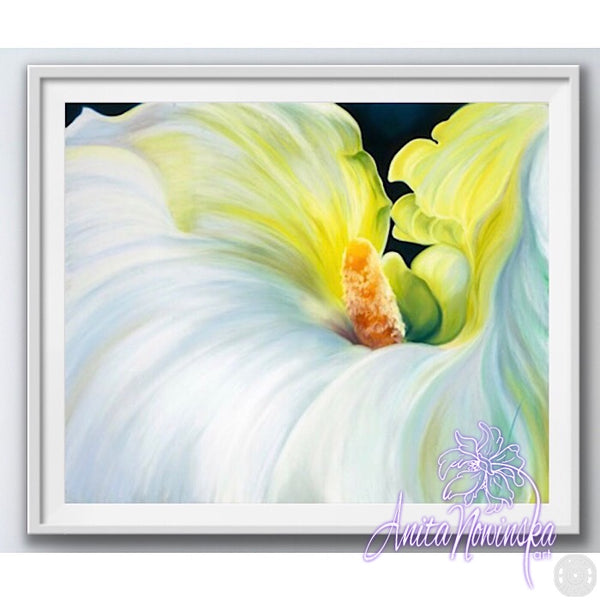 ‘Bride’- White Arum Flower Painting