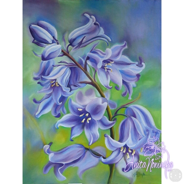 ‘Humility’- Bluebell Flower Painting