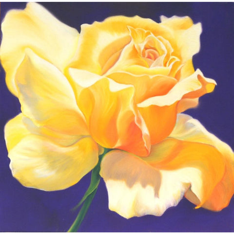 Yellow rose Flower Painting Limited Edition Print