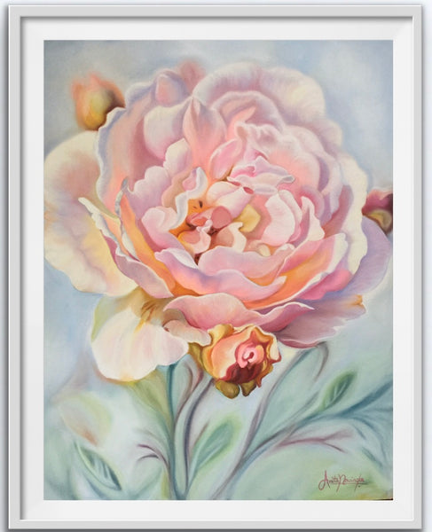 ‘Nurture’- Pale pink Rose Flower Painting