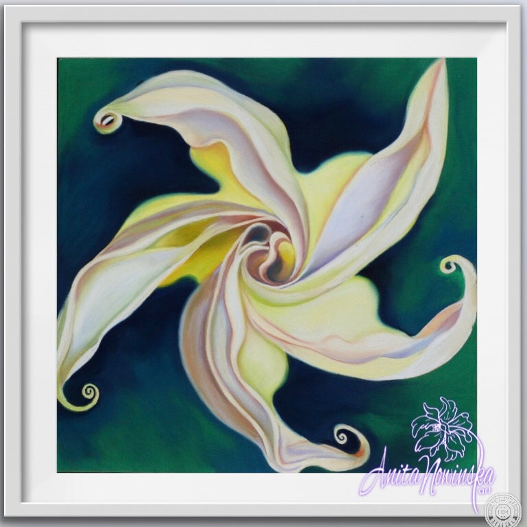 white convulvulus on green-Psyche folower painting by Anita Nowinska