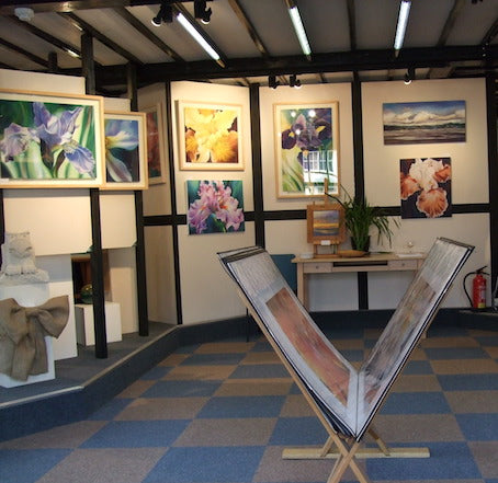 SHOWS & EXHIBITIONS