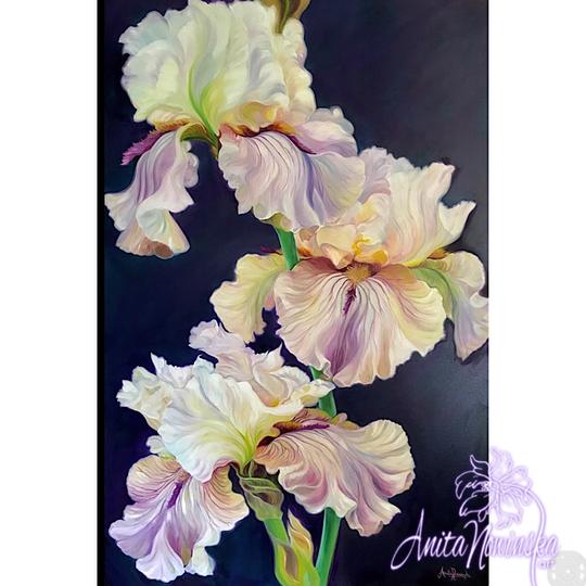 Big flower painting of irises on dark background by Anita Nowinska