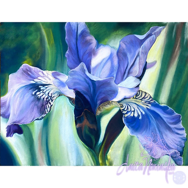 Dreaming- Blue Iris Flower Painting