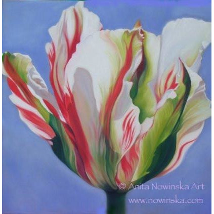 6 Floral Greetings Cards- Gala, Parrot Tulip