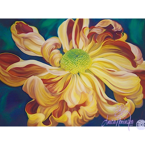 Emperor's Pride- Chrysanthemum Flower Painting