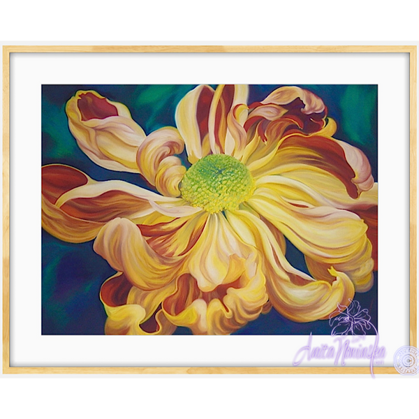 Emperor's Pride- Chrysanthemum Flower Painting