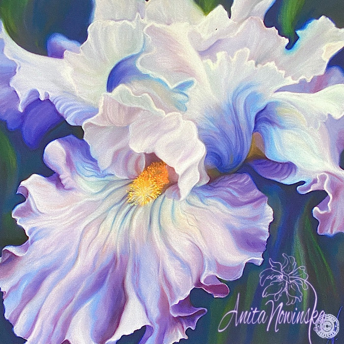 Romance ii- Pale Blue Iris Flower Painting
