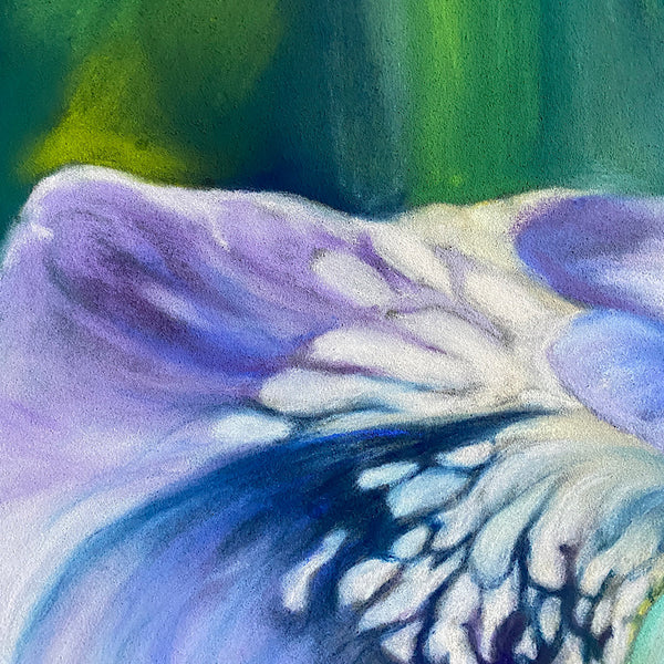 Dreaming- Blue Iris Flower Painting
