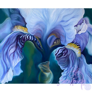 Lilac blue iris flower painting wall decor by anita nowinska