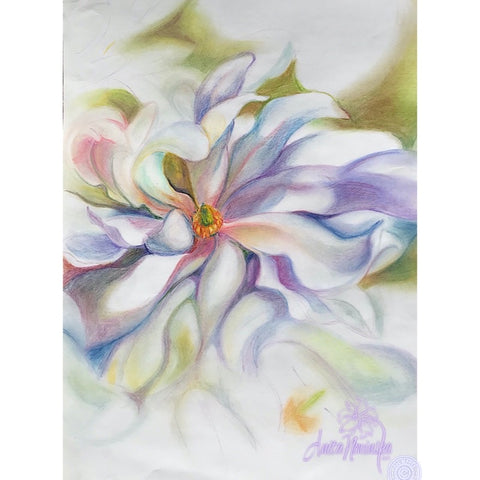 Magnolia flower drawing gallery wall by Anita Nowinska