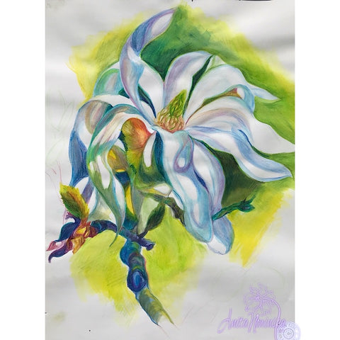 Magnolia flower drawing iv by Anita Nowinska.