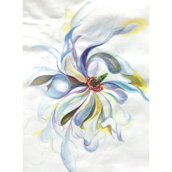 Magnolia flower drawing iv by Anita Nowinska.