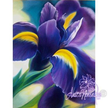 purple & yellow iris big flower painting by Anita Nowinska
