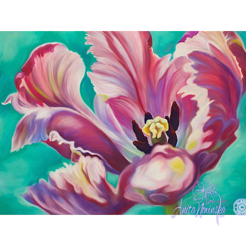 Transition-Pink tulip on turquoise backgound, flower painting by anita nowinska