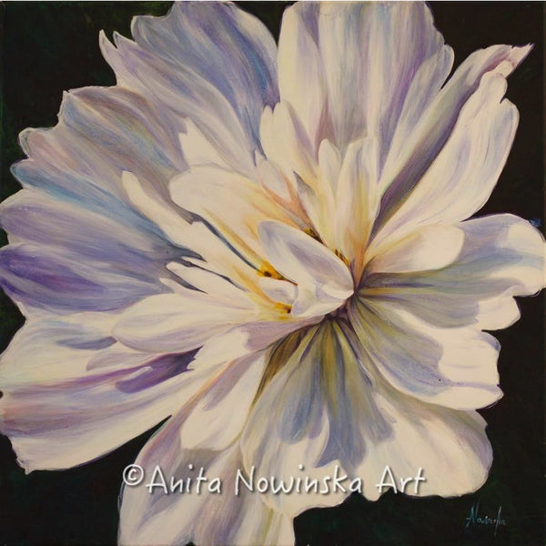 whisper- white dahlia - flower paintings- anita nowinska