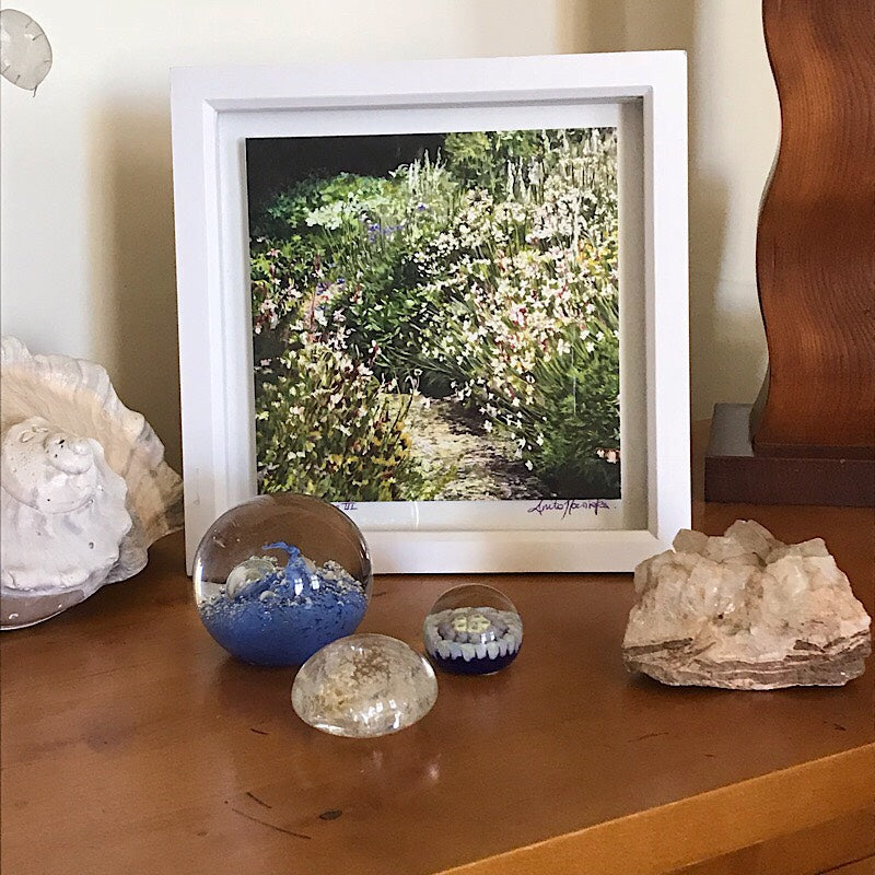 a ready framed limited edition print from the white garden flower painting by Anita Nowinska. Its a perfect christmas gift