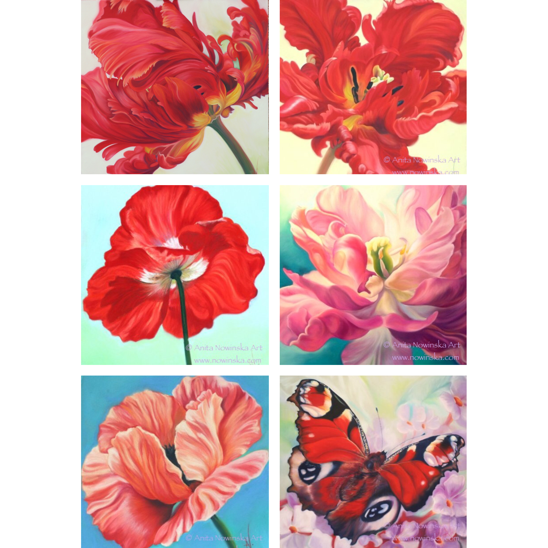 greetings cards-reds-flower paintings, anita nowinska