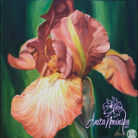 big flower painting of Rust iris oil on canvas by Anita nowinska
