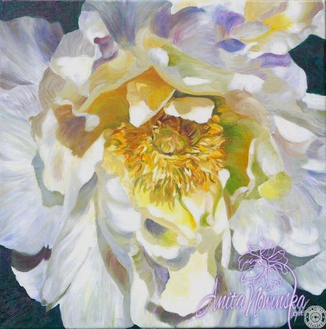 flower painting of white peony in oil on canvas by Anita Nowinska