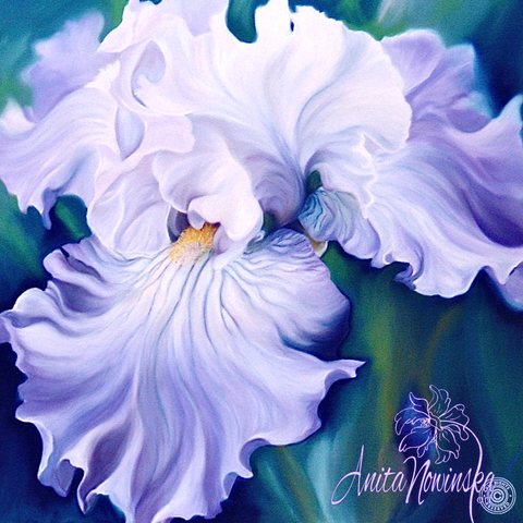 Romance i- Pale Blue Iris Flower Painting