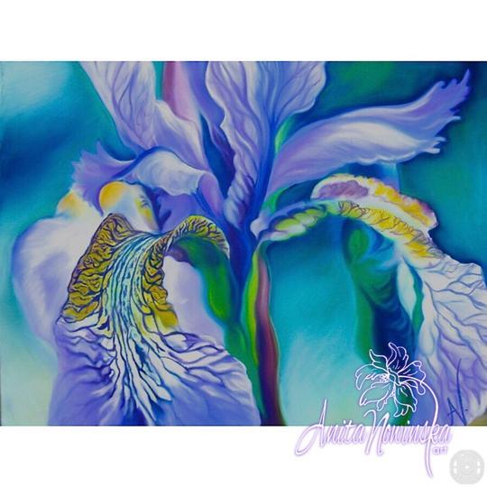 dancer- big flower painting of blue flag iris by Anita Nowinska