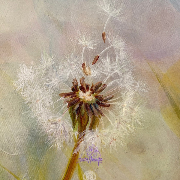 dandelion clocks meadow painting by anita nowinska