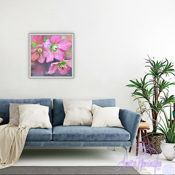 Gifts of Winter- Pink Hellebores Floral Canvas