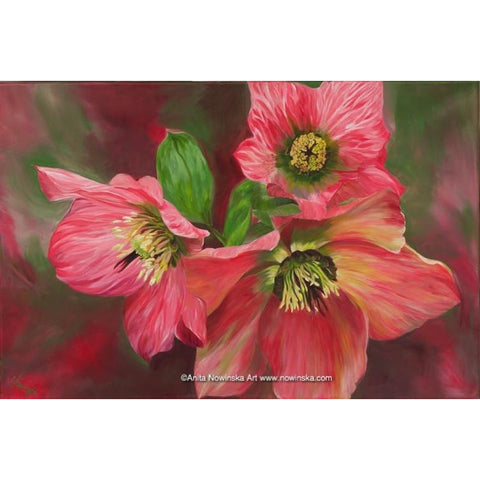 Hellebores- Flower Painting- Pink- Original Canvas- Anita Nowinska
