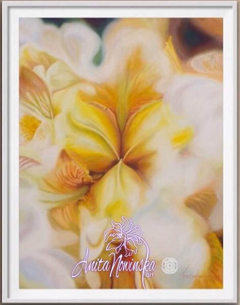 framed print of flower painting of golden iris by Anita Nowinska wall art