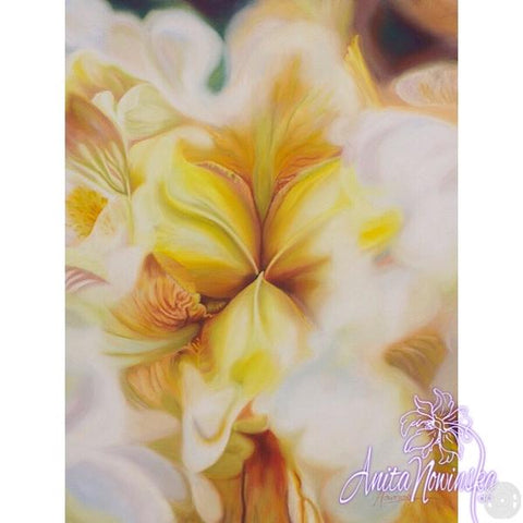 flower painting of centre of golden iris by Anita Nowinska wall art
