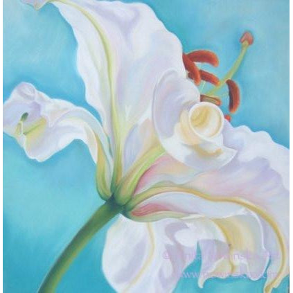 white lily-flower painting, anita nowinska