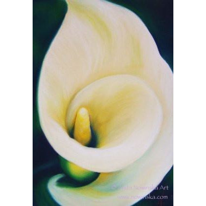 White Arum Lily Flower Painting-anita nowinska- cream, green framed original art
