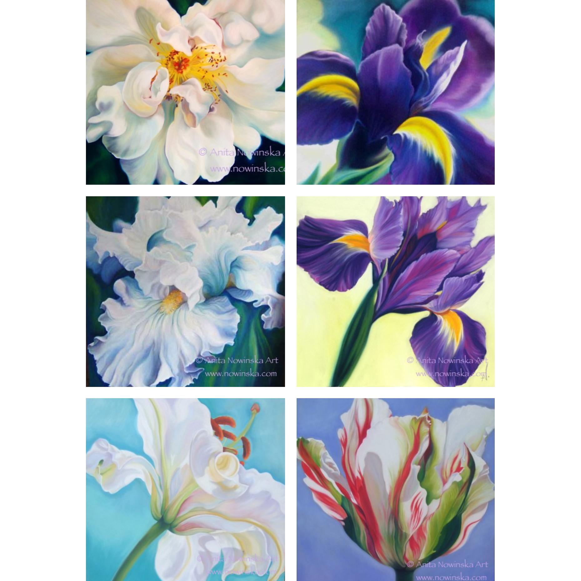 greetings cards-flower paintings-anita nowinska