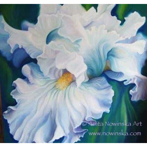6 Floral Greetings Cards-  Romance, Blue Iris