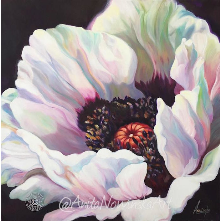 White Oriental poppy- Poppy flower painting - Anita Nowinska - oil on canvas