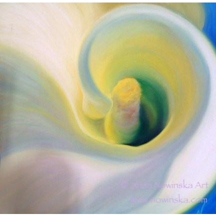 white calla Arum Lily, Flower painting Anita Nowinska