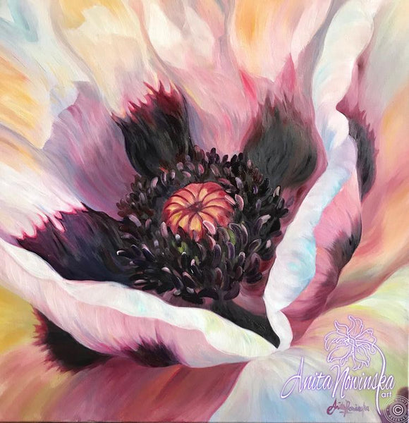 oil on canvas flower painting of oriental poppy in white, peach & pink by anita nowinska