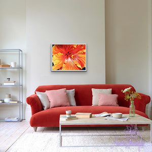 Flamenco- Hibiscus Flower Painting – Anita Nowinska