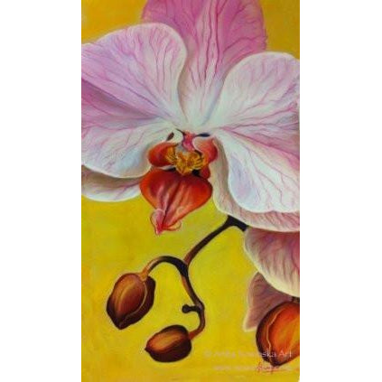 Orchid- flower painting- pink, white, ochre-original pastel- Anita Nowinska
