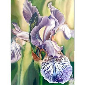 pale lilac flag iris flower painting by Anita Nowinska