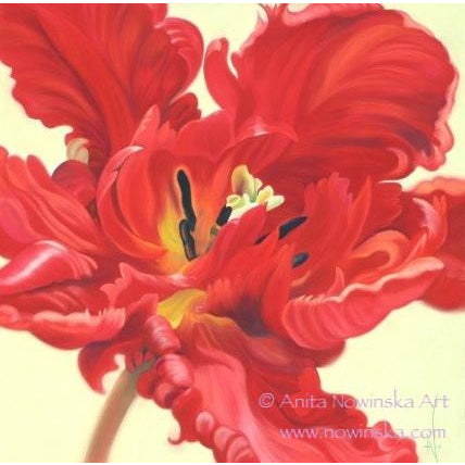 6 Floral Greetings Cards- Pazzaz, Red Parrot Tulip
