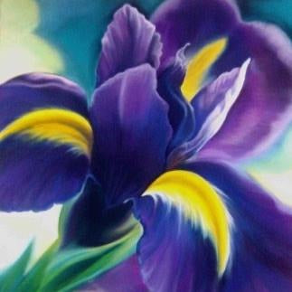 purple iris flower painting greetings card