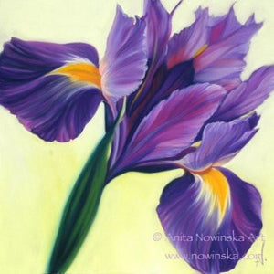 purple iris flower painting by anit anowinska