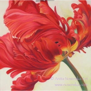 6 Floral Greetings Cards-Razzamatazz, Red Parrot Tulip
