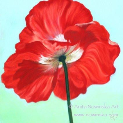 red poppy, flower painting-anita nowinska