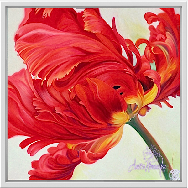 red parrot tulip flower painting by anita nowinska.