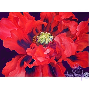 Passion- Red Oriental PoppyPainting